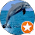 Dolphin jumping over ocean waves, colorful emblem